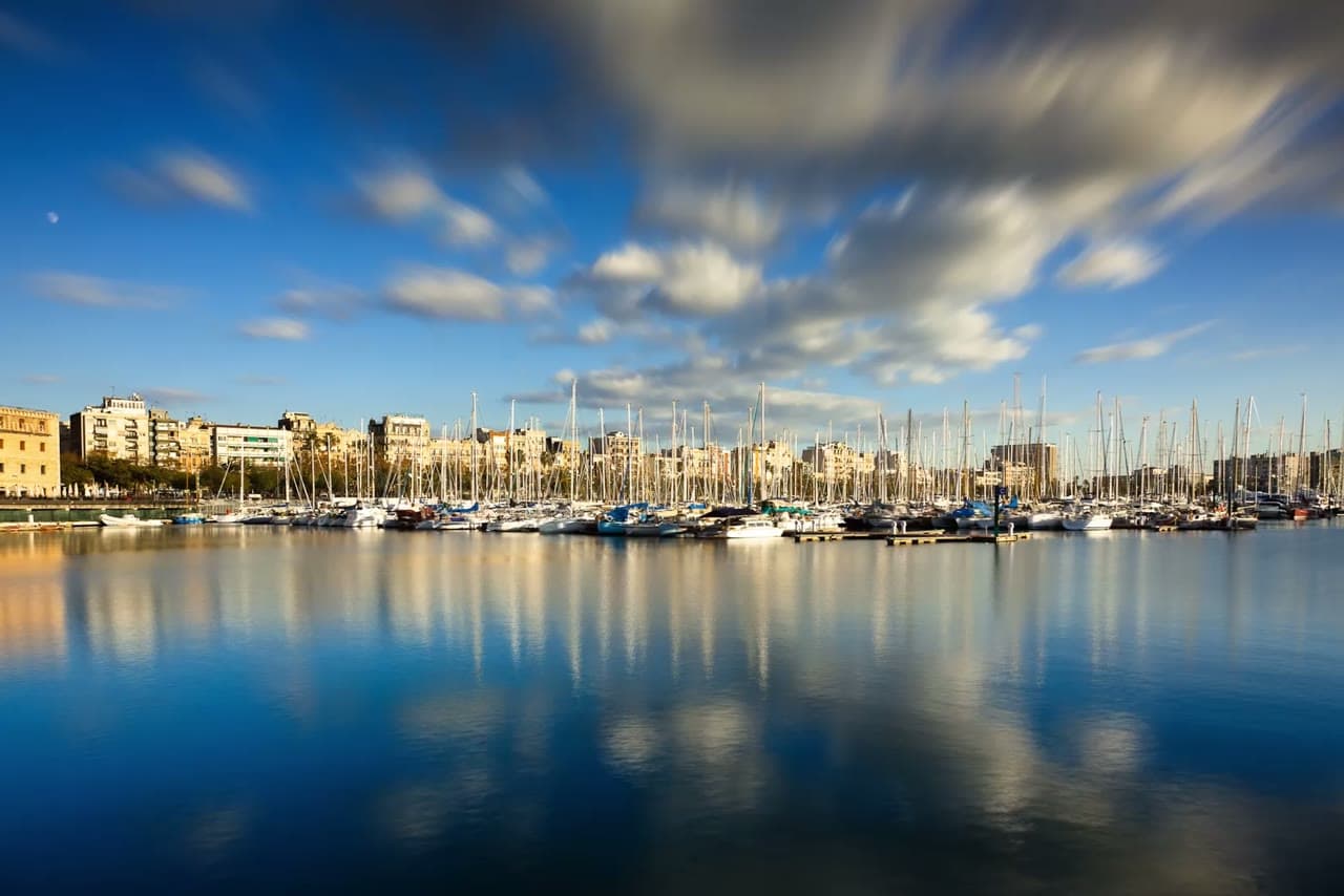 A calm marina full of sailboats under a blue sky